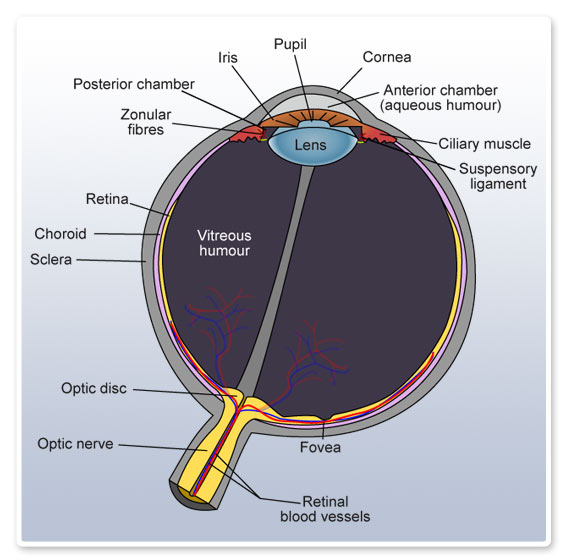 laser vision correction surgery