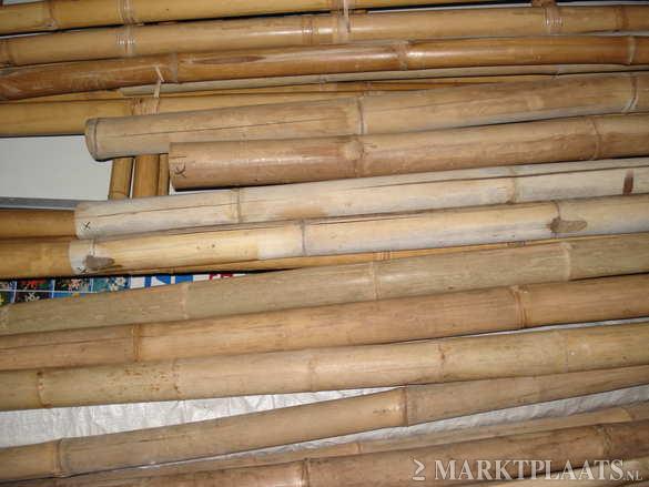 bamboe palen