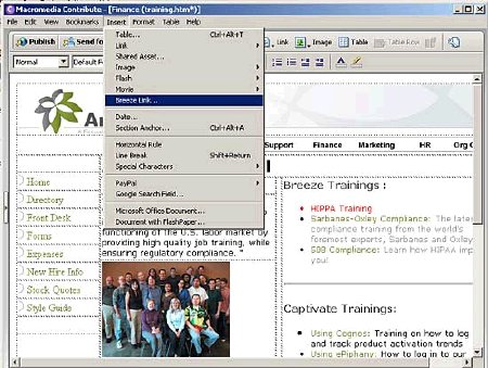 macromedia works