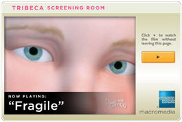 macromedia works