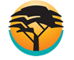 fnb in south africa