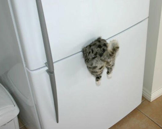 best refrigerator