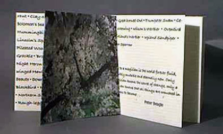 used bradley