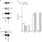 plc prf 5 cells