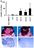 plc prf 5 cells