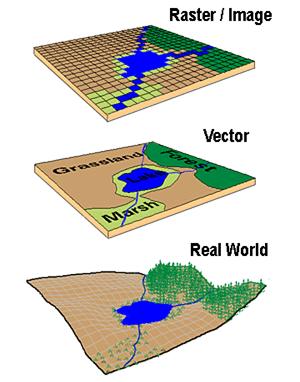 raster data