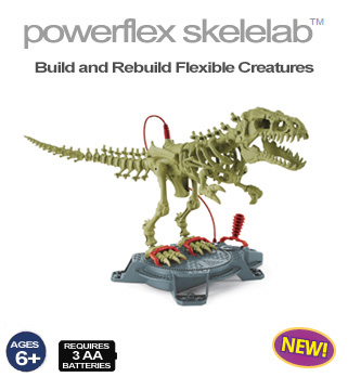 skeleflex powerflex lab