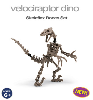 skeleflex dino powerflex