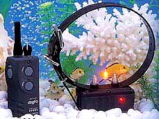 dogtra 1200