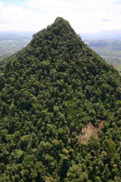 pico bonito national park