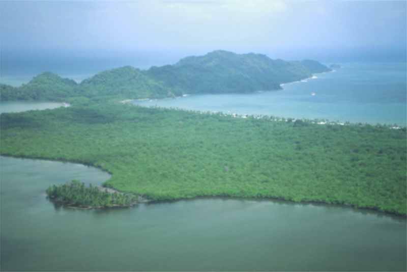 pico bonito national park