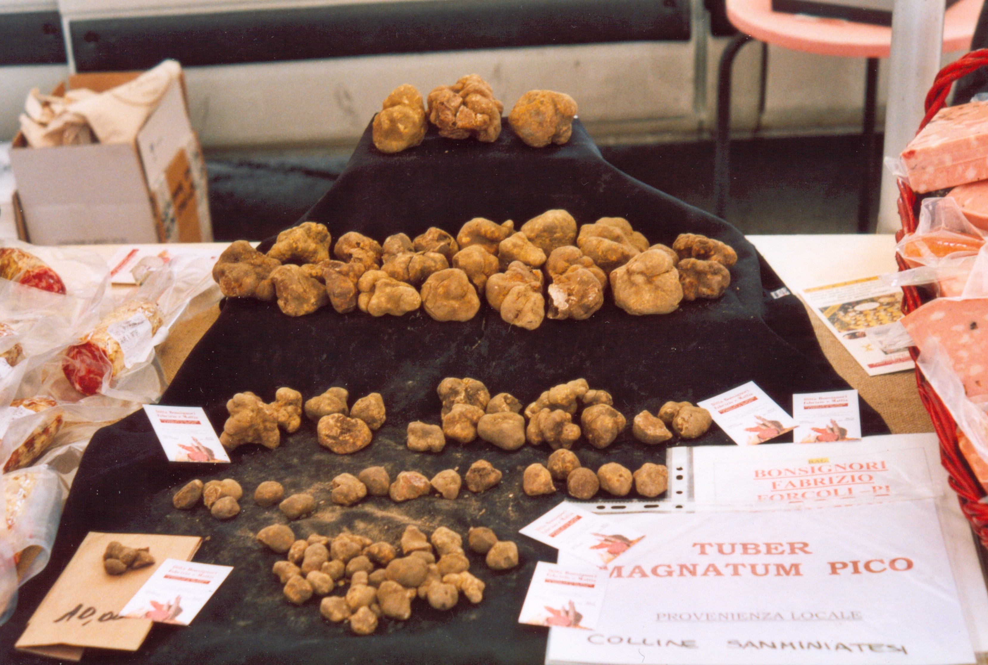 tuber magnatum pico