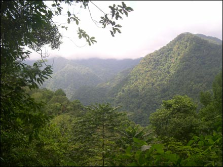 pico bonito national park