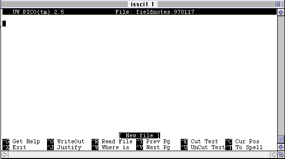 text editor pico