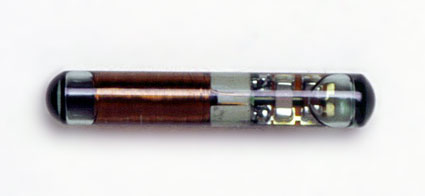 embedded microchip