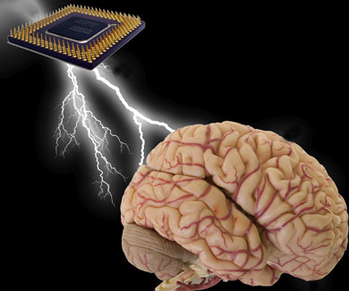 chip-embedded