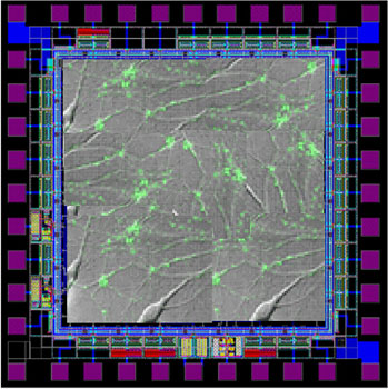 embedded chip