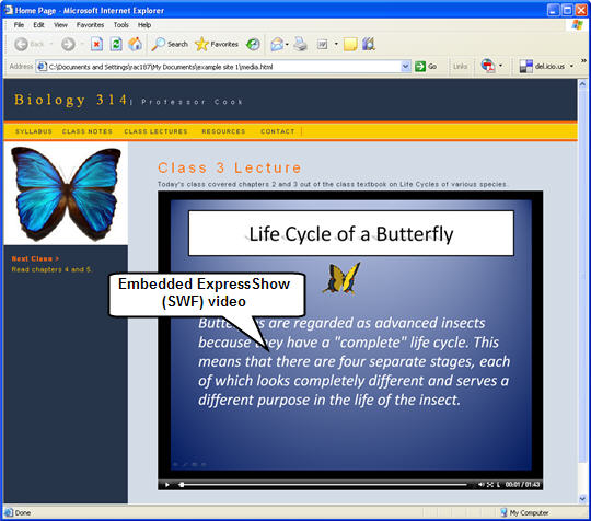 embedded source code