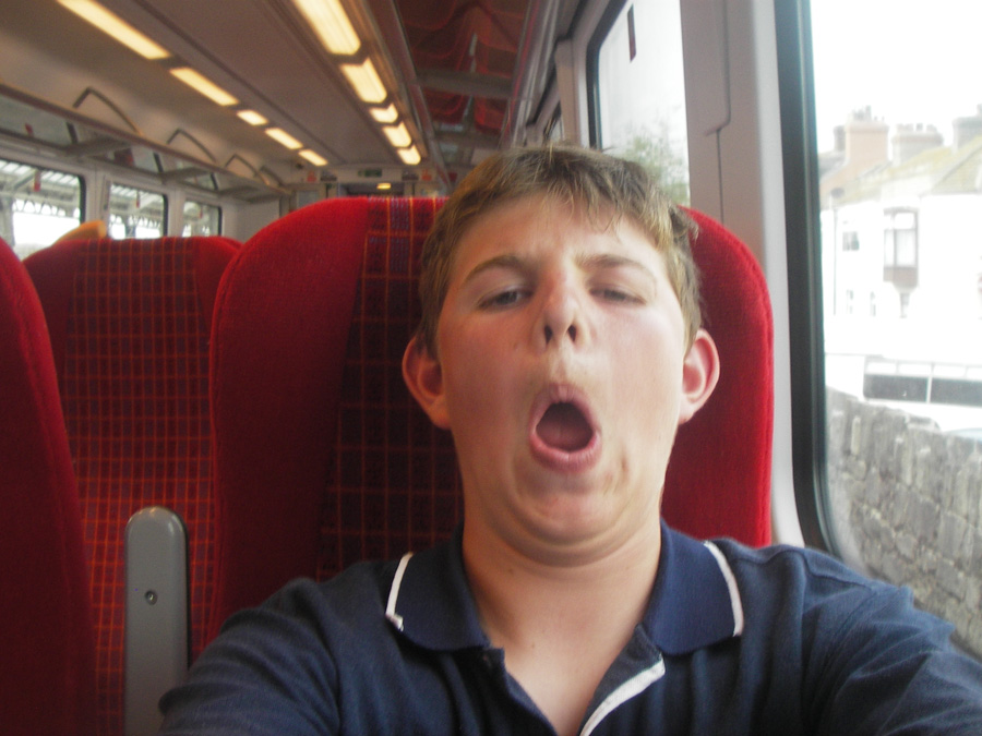 george waring