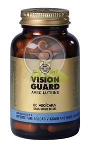 vision guard