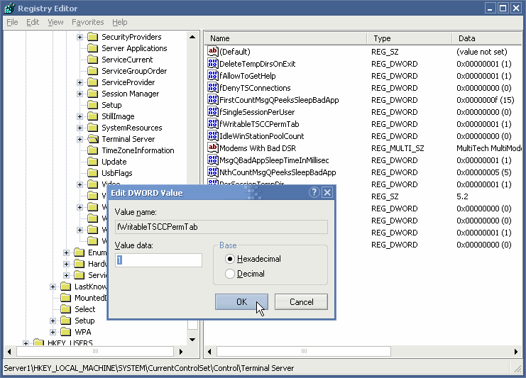 remote terminal server