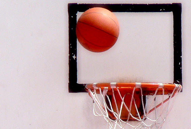 fip pallacanestro