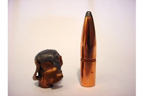 federal premium tsx