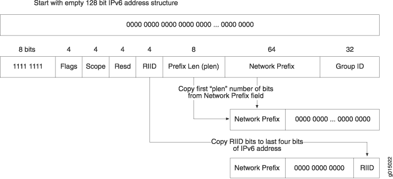 embedded ipv6