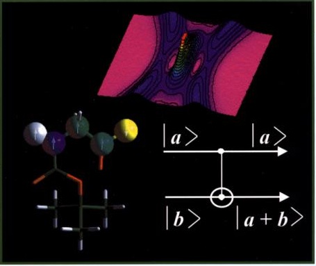 quantum information processing