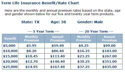 term insurance