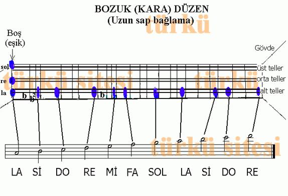 saz notalari