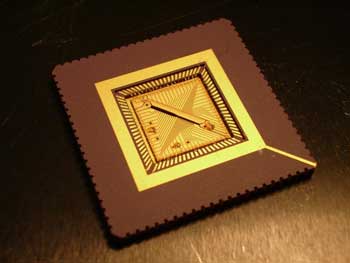 quantum processors