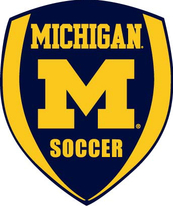 micro soccer