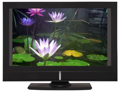 lcd monitor pros