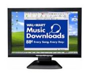 pro view monitors
