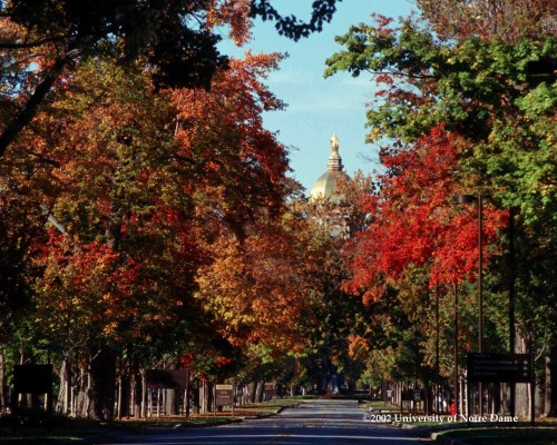 nd university