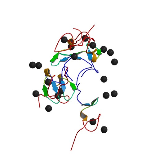 lrp protein