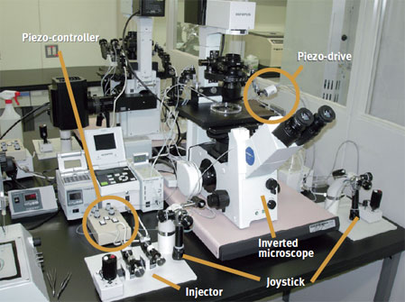 micromanipulator
