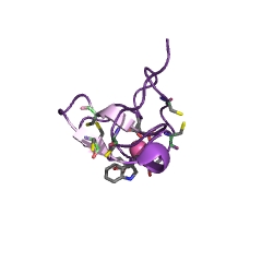 lrp protein