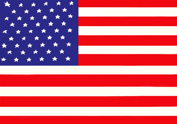usa immigration services