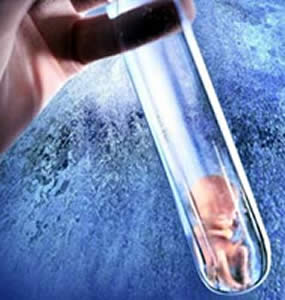 adn genetica