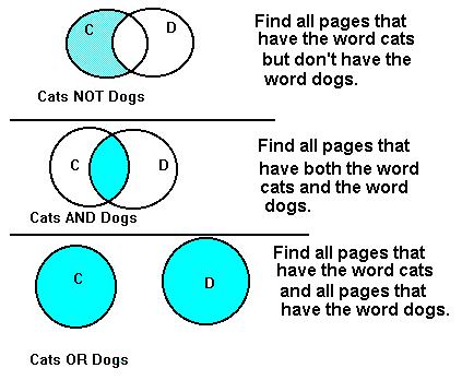 boolean example
