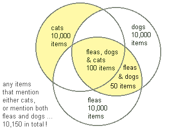 what is boolean