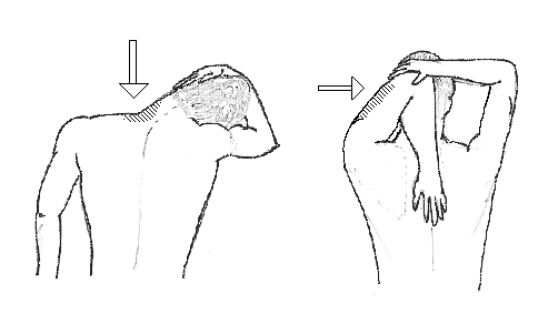 arm stretching