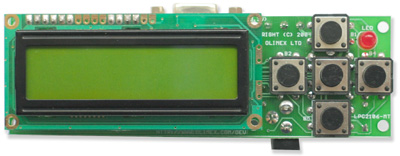 arm lpc2106