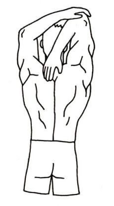 arm stretching