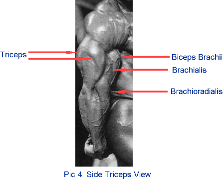arm exercises