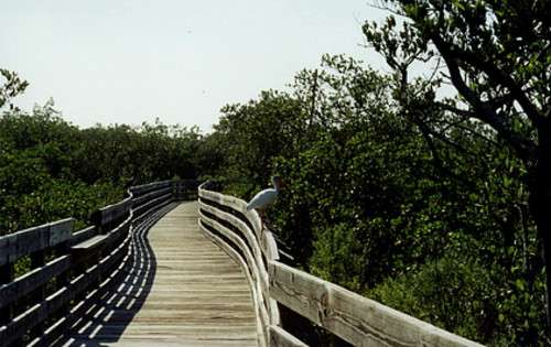 pinellas county fla