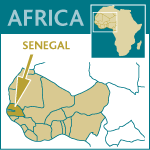 cncr senegal