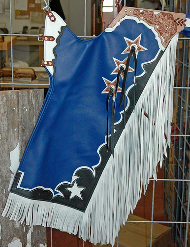 bull riding chaps